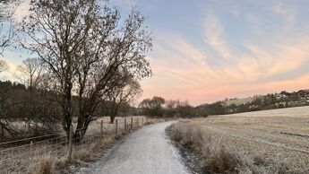 Grussti, åker, solnedgang, frost på gresset rundt stien.