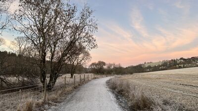 Grussti, åker, solnedgang, frost på gresset rundt stien.