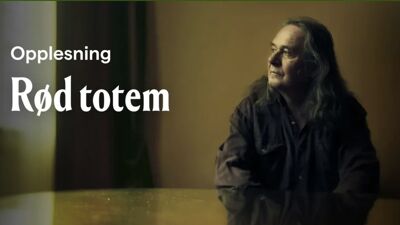 Mann med langt hår i profil.