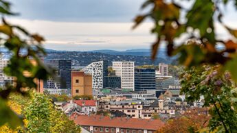 Utsikt over Oslo fra Tøyen i bydel Gamle Oslo. Bildet viser byens boligområder, historiske og moderne bygninger, grønne områder og trær i vakre høstfarger. I bakgrunnen sees åsene rundt Oslo under en overskyet høsthimmel.