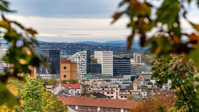 Utsikt over Oslo fra Tøyen i bydel Gamle Oslo. Bildet viser byens boligområder, historiske og moderne bygninger, grønne områder og trær i vakre høstfarger. I bakgrunnen sees åsene rundt Oslo under en overskyet høsthimmel.