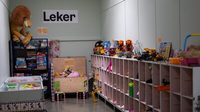 Rosa hyller med leker