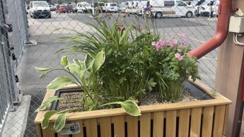 Miniregnbed
