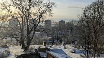 Vinter i Bydel Bjerke