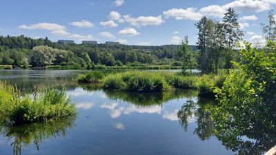 Bildet viser Østensjøvannet en soldag. Det er grønt rundt vannet og i vannspeilet ser du refleksjonen av blå himmel og hvite skyer.
