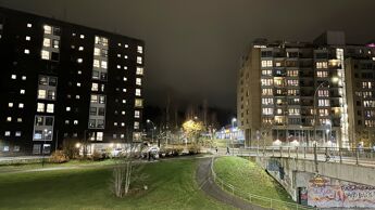 Bildet viser Bøler om natten