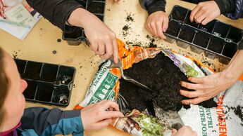 Samarbeid med planting i jord