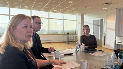 Ellen Oldereid, Yngvar A. Husebye og Julianne Ferskaug