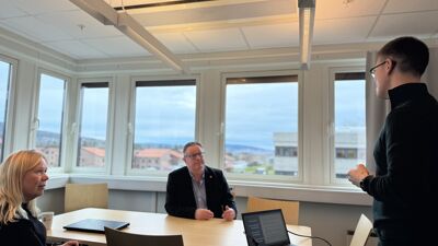 Bydelens hukommelsesteam presenterer sitt arbeid for bydelsdirektør og bydelsutvalgets leder.