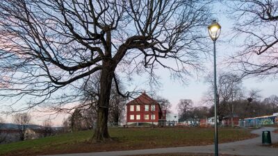 Rødt hus bak et stort tre