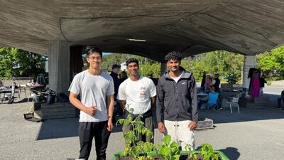 3 unge menn er avbildet foran en blomsterkasse.