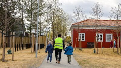 Gutter leier voksen