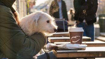 Dame med kaffe og hund på fanget