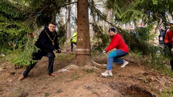 Oslos ordfører Anne Lindboe og Lord Mayor of Westminster, Robert Rigby, feller et tre som skal sendes fra Oslo til London.