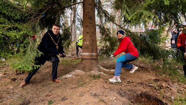 Oslos ordfører Anne Lindboe og Lord Mayor of Westminster, Robert Rigby, feller et tre som skal sendes fra Oslo til London.