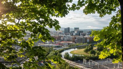 Bilde av Oslo sentrum med trær i forgrunnen