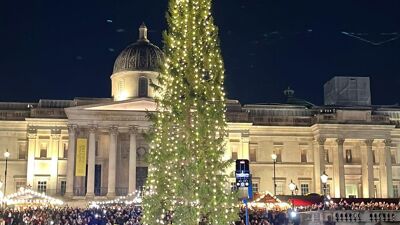 Julegrana har fått lys på seg