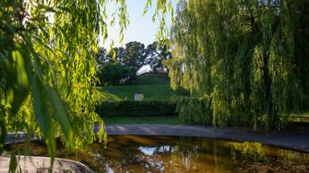 Kampen park med et lite tjern omkranset av grønne trær.