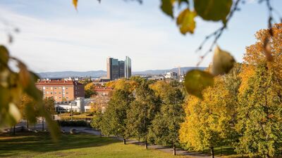 Oslo sett fra utsiktspunkt i Tøyenparken