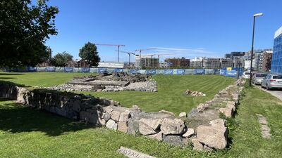 Steiner i grønn park.