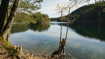 Bilde av et barn som ser ut over Lutvann.