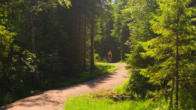 En syklist på en tursti i Nordmarka.
