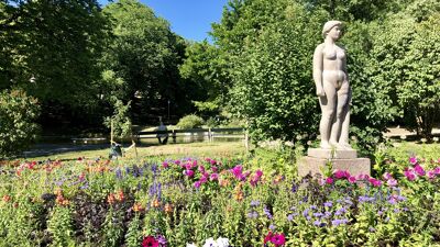 Sommerfint i St. Hanshaugen park med blomster og blå himmel.