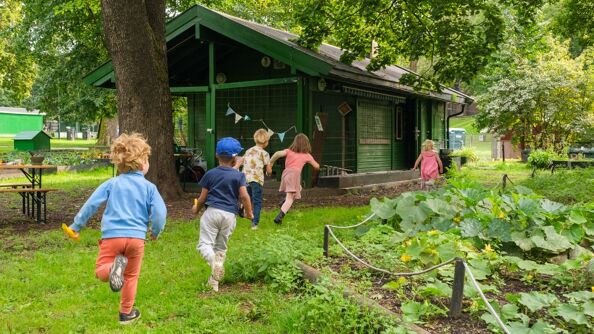Fire barnehagebarn som løper etter hverandre i en park med trær og planter rundt seg