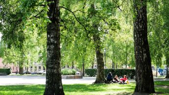 Unge i en park i Oslo