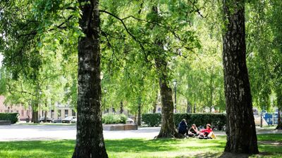 Unge i en park i Oslo