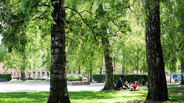 Unge i en park i Oslo