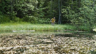 En kvinne står med en håv ved en dam omringet av skog.