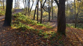 Bilde fra sommer ved Sarabråten