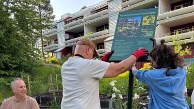 To mennesker setter opp et skilt i en hage