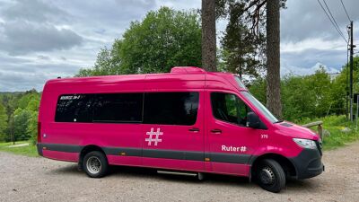 Bilde av en rosa minibuss parkert på grusvei med trær