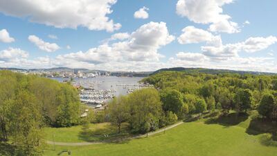 Grønn slette på Hovedøya.