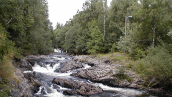 Stryk i elv. Grønne trær på begge sider.