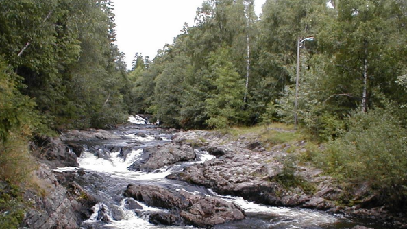 Stryk i elv. Grønne trær på begge sider.