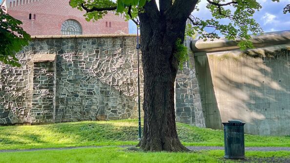 I forgrunnen er det et gammelt tre, en lysgrønn plen og en grønn søppelkasse i metall. I Bakgrunnen er muren rundt Oslo fengsel. Over fengselsmuren stikker toppen av et gammelt rødt mursteinshus med saltak. Det er vår, sol og blå himmel.