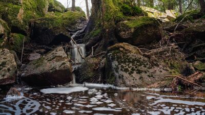 Bak Skappeldemninga i Østmarka.