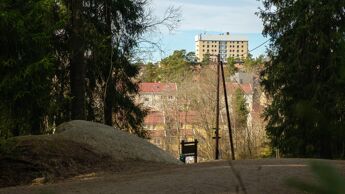 Utsikt fra granskog mot blokker og hus.