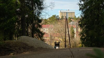 Utsikt fra granskog mot blokker og hus.