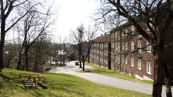 Grønn plen, trær som ennå ikke har fått blader, mursteinsbygg i tre etasjer langs en gangvei.