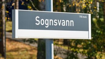 Skilt med teksten Sognsvann. Skog i bakgrunnen.