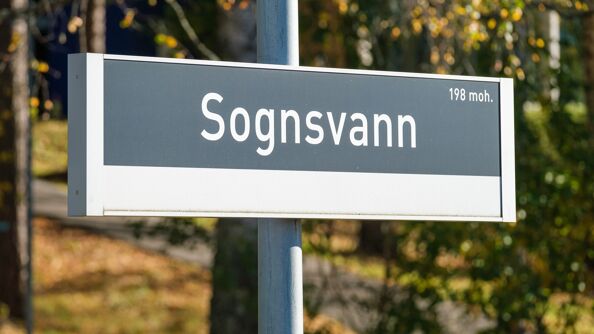 Skilt med teksten Sognsvann. Skog i bakgrunnen.