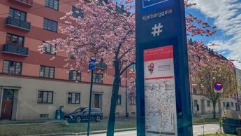 Fasade på hvit og rosa bygård i bakgrunnen. Skilt som markerer busstopp og kirsebærtrær som blomstrer.