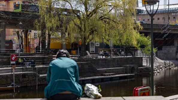 Ryggen til en person i blå jakke med en hund ved siden av seg, foran Akerselva. Et piletre har lysegrønne spirer. I bakgrunnen ruver Nylandsbrua.