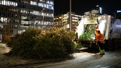 Mann i oransje jakke, ved søppelbil og en stor haug med juletrær. Det er kveld.