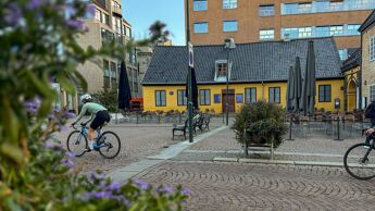 Lilla blomster i forgrunnen ved en åpen plass med benker, uteservering og en gul bygning. Moderne bygninger står i bakgrunnen.