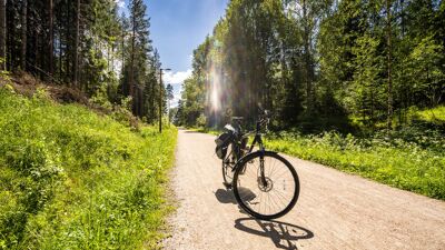 Bildet viser en sykkel som står på en grussti, omringet av skog.